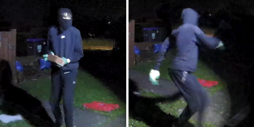 Brazen teen caught on CCTV launching brick through window
