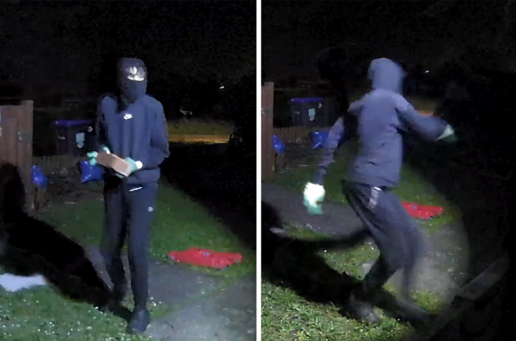 Brazen teen caught on CCTV launching brick through window