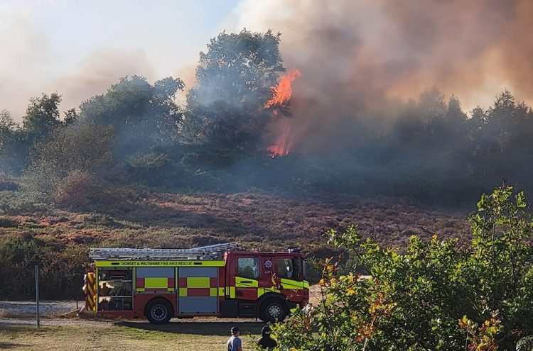 Firefighters braced after amber wildfire alert issued for Wiltshire