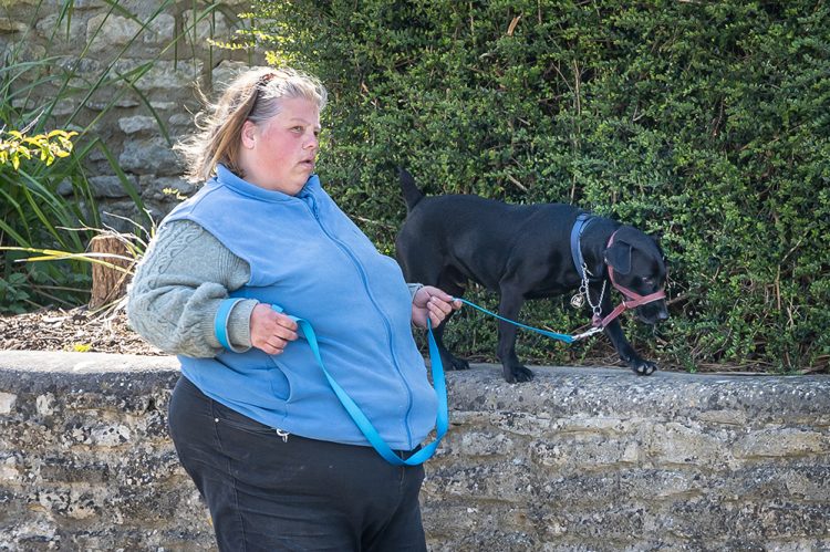 Dog ‘destroyed’ after Chippenham woman breaches court order