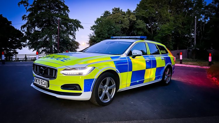 Wiltshire man dies after being struck during car crash on A350
