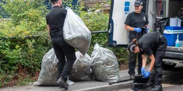 Police remove plants and equipment from Trowbridge cannabis farm