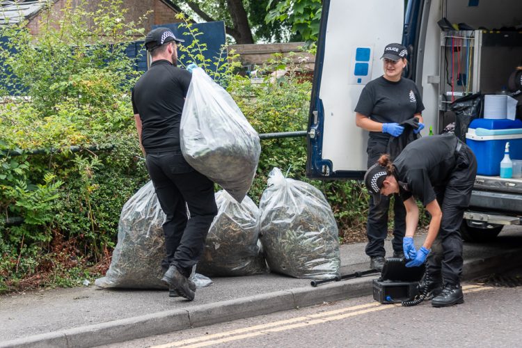 Police remove plants and equipment from Trowbridge cannabis farm