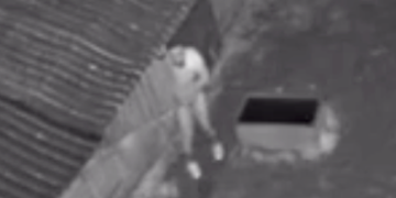 Arrest over pony sex attack after second incident in Trowbridge