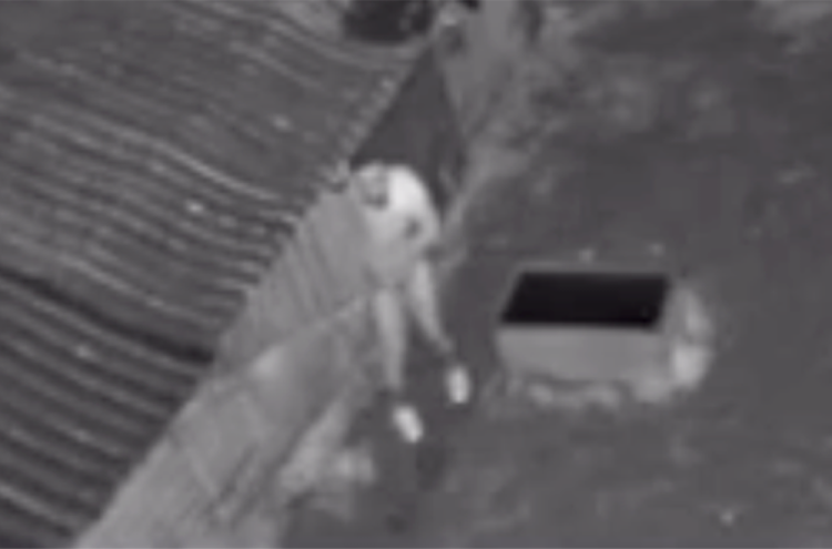 Arrest over pony sex attack after second incident in Trowbridge
