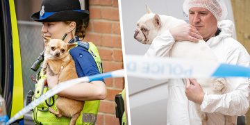Sombre moment dogs are removed from Easterton murder scene