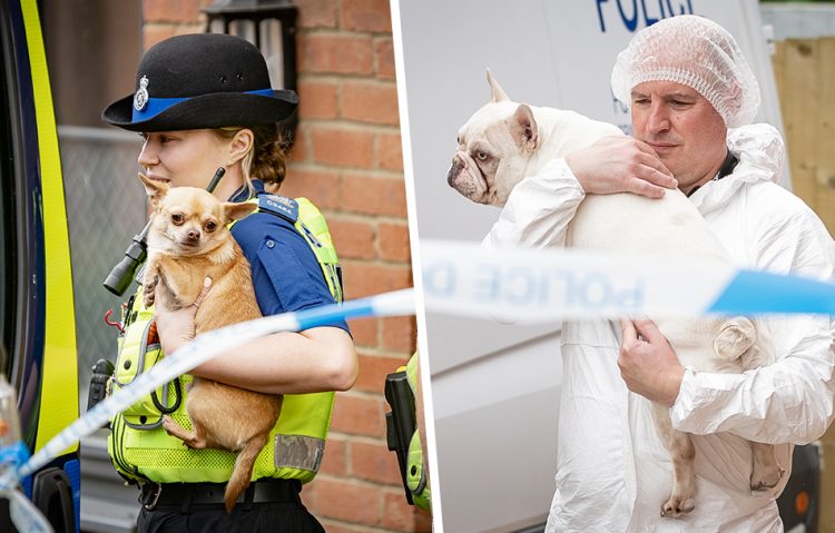 Sombre moment dogs are removed from Easterton murder scene