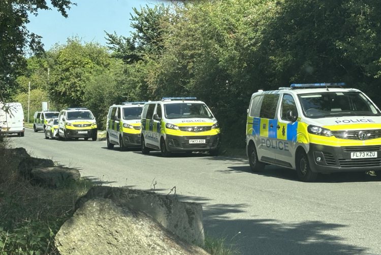 ‘Illegal immigrant caught working’ as police swarm industrial estate