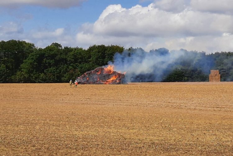 Two suspects flee after arson attack on haystack in Wiltshire field