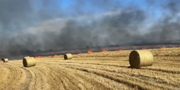 Firefighters battle huge blaze involving farmer’s crops in Devizes