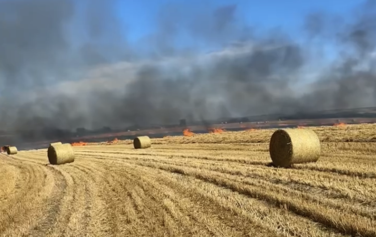 Firefighters battle huge blaze involving farmer’s crops in Devizes