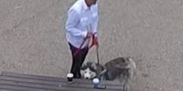 ID of dog walker sought after man bitten at Wiltshire nature reserve 