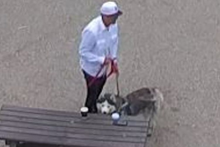 ID of dog walker sought after man bitten at Wiltshire nature reserve 