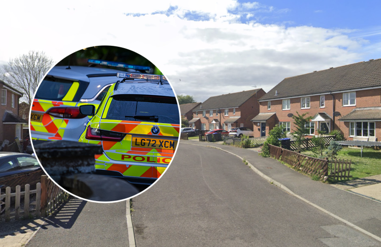 Woman suffers serious ear injury in attack at house in Melksham