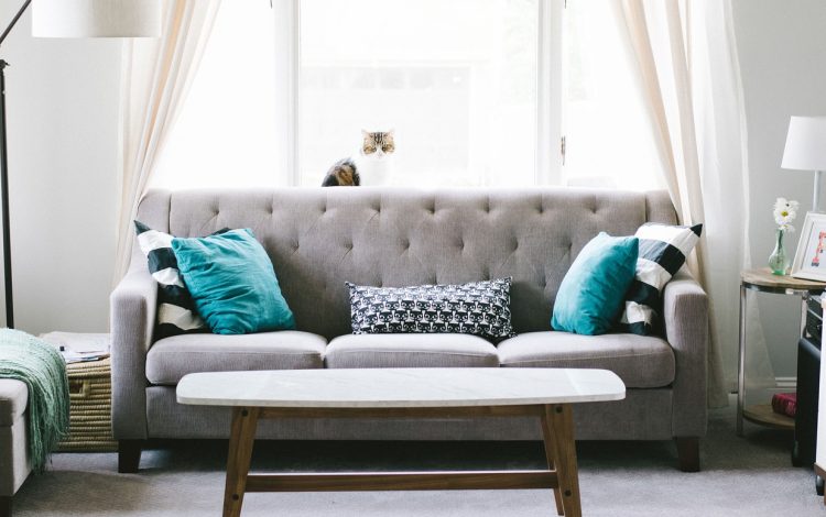 Exploring Methods to Enhance Your Property’s Value