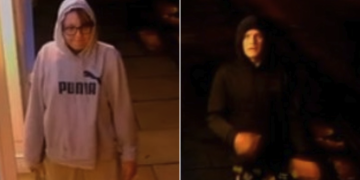 Wiltshire Police hunt duo who ‘attempted to break into vape store’