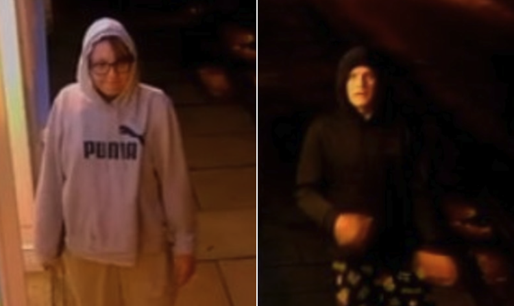 Wiltshire Police hunt duo who ‘attempted to break into vape store’