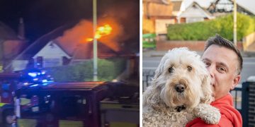 Dog alerts ex-firefighter to blaze with disabled man trapped inside