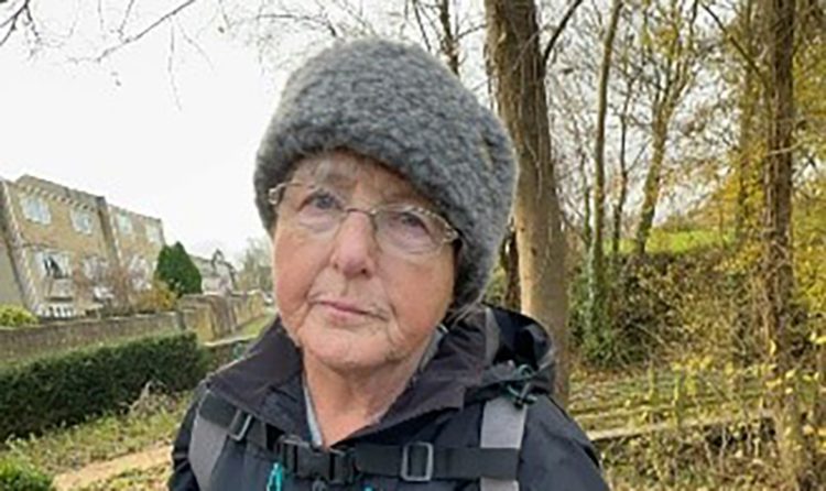 Teenage girl and dog ‘attacked with stick’ at English Heritage site