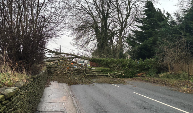 Live updates: ‘Danger to life’ Storm Darragh hits Wiltshire