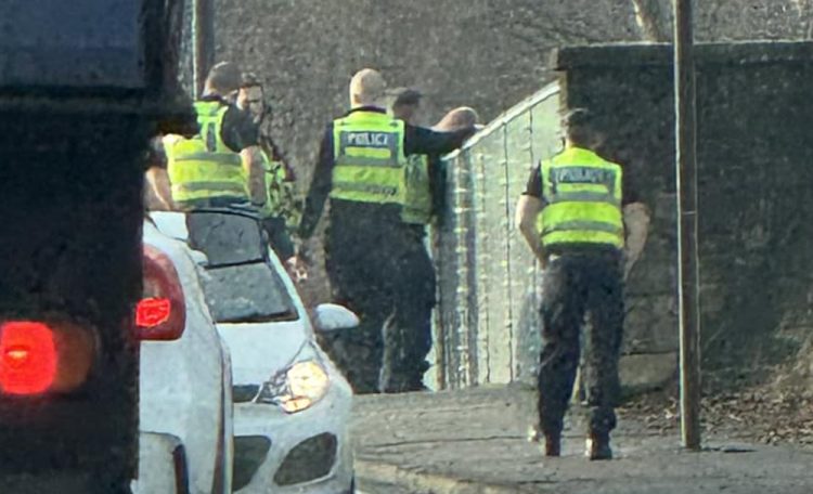 Suspected air freshener thief chased through central Trowbridge