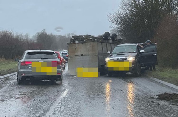 ‘Sheep killed’ as livestock trailer overturns on A350 in Wiltshire