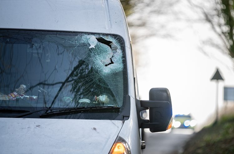 Fallen tree seriously injures van passenger in Storm Eowyn crash