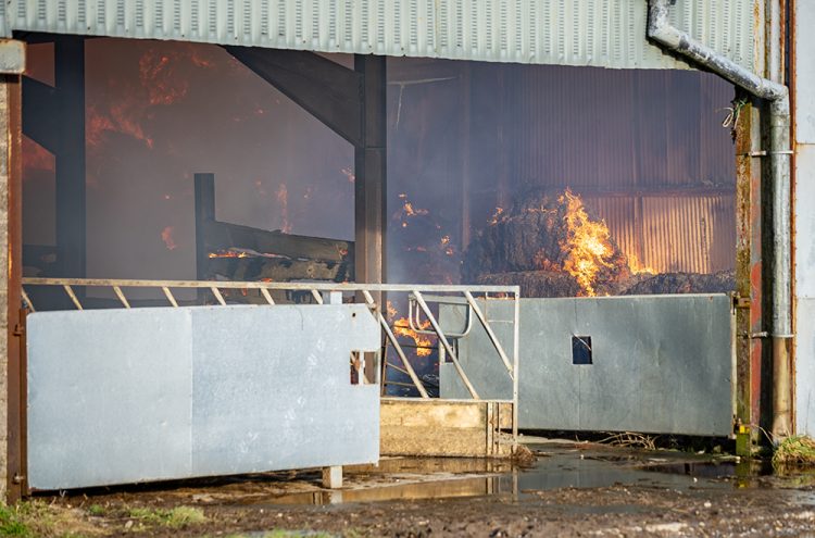 50 cows rescued from major barn blaze in rural Wiltshire