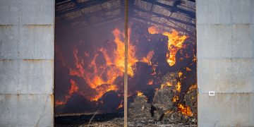 50 cows rescued from major barn blaze in rural Wiltshire