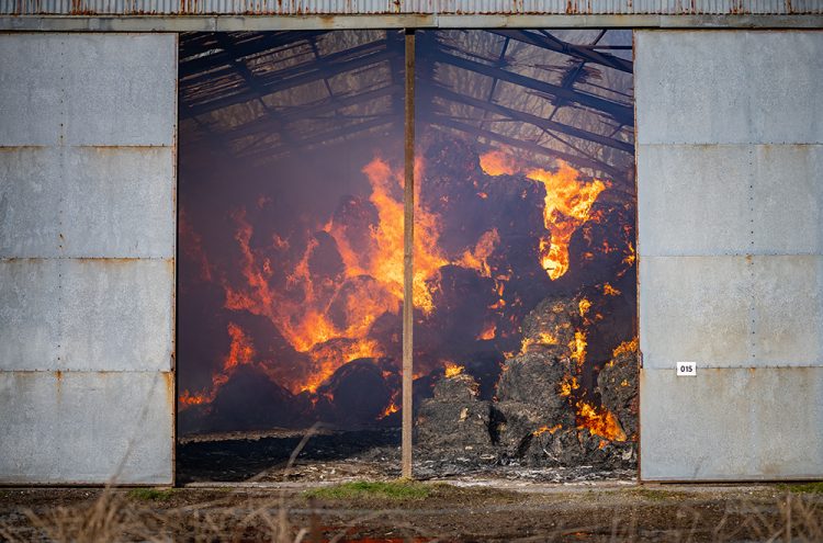 50 cows rescued from major barn blaze in rural Wiltshire