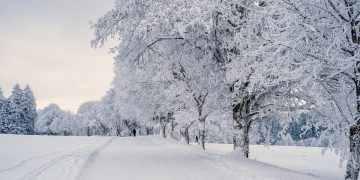 Snow warning for Wiltshire upgraded to amber by Met Office