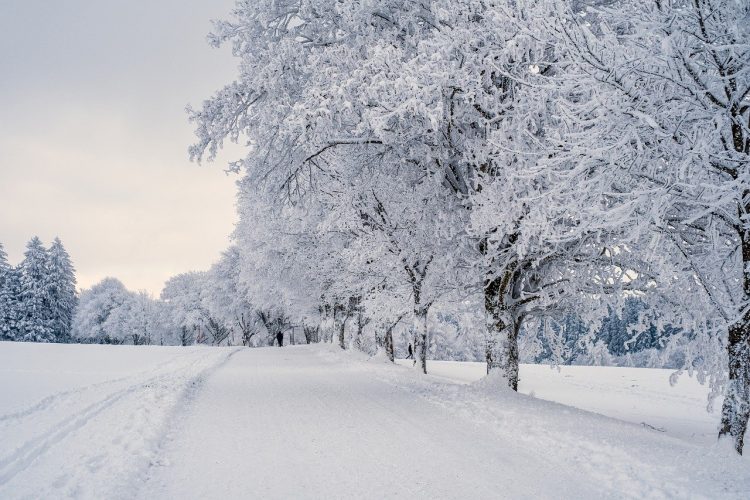 Snow warning for Wiltshire upgraded to amber by Met Office