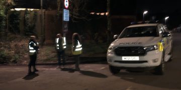 Wiltshire road closed for two months so toads can cross safely