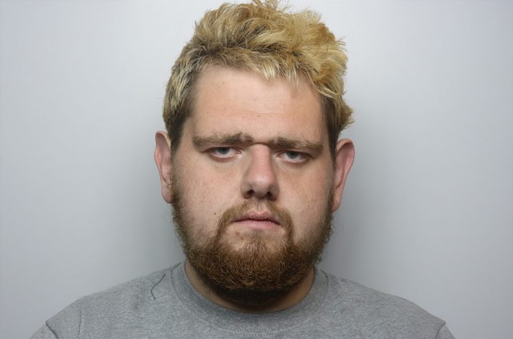 Knifeman threatened to kill pensioner and her dogs in burglary