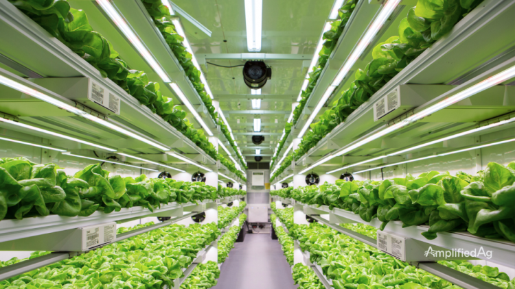 Modern Technologies for Growing Grass: From Vertical Farms to Smart Greenhouses