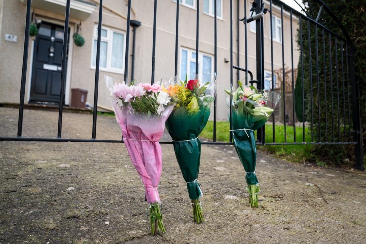 Suspected XL Bully that killed woman in Bristol put to sleep
