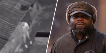 Pervert admits having sex with Shetland pony in Wiltshire stable