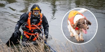 Dive team and Met Police dogs join Sebastian Sailes search