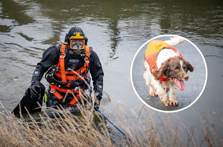 Dive team and Met Police dogs join Sebastian Sailes search
