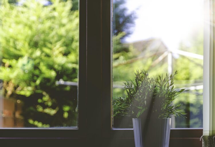 Are uPVC or Wooden Double Glazed Sash Windows Better? Pros and Cons
