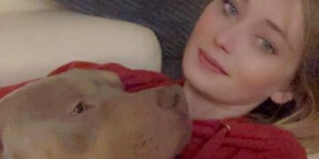 Swindon XL Bully may be ‘destroyed’ after walk without muzzle