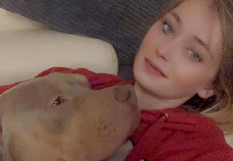 Swindon XL Bully may be ‘destroyed’ after walk without muzzle