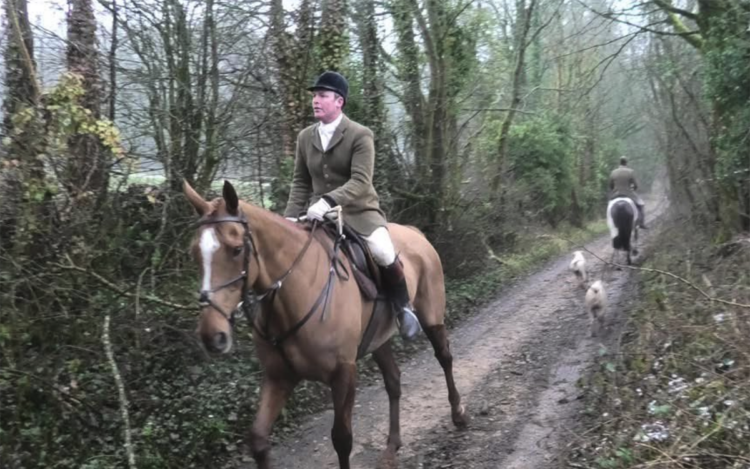 Huntsman charged with pursuing foxes across the Cotswolds