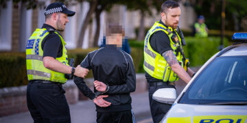 Teen boy detained for assaulting girl amid Swindon dog attack