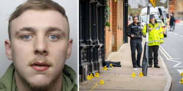 Man who deliberately drove car into pedestrians pleads guilty