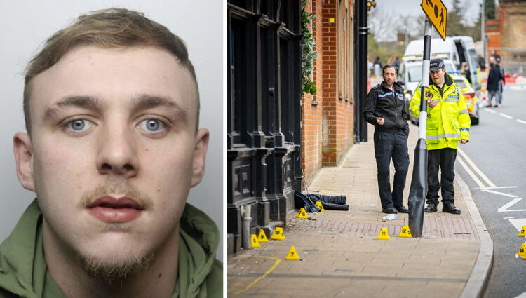 Man who deliberately drove car into pedestrians pleads guilty