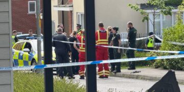 Man, 21, charged with murder after fatal stabbing in Wiltshire