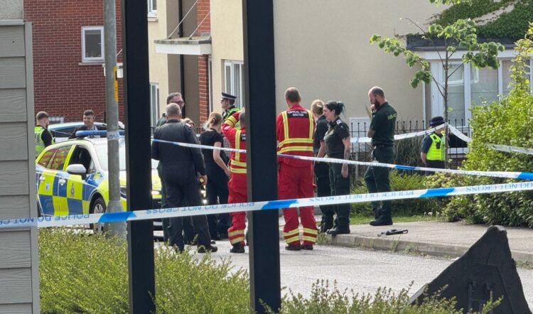 Man, 21, charged with murder after fatal stabbing in Wiltshire