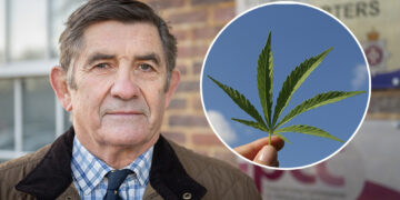 Wiltshire Police commissioner calls for cannabis to be Class A drug