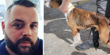 Man kept ‘incredibly malnourished’ dog in poo-ridden home